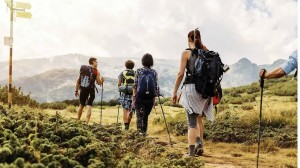 微信图片_20251127155706_385_27